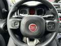 Fiat Panda 0.9 TA 85 4x4 Wild Anniversario 40 Grau - thumbnail 12