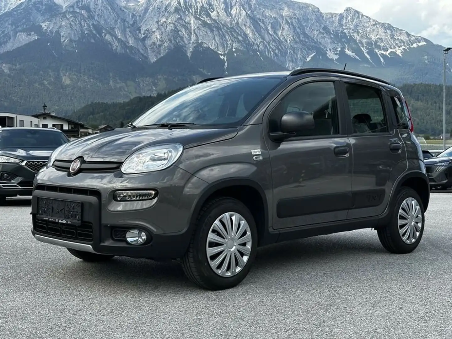 Fiat Panda 0.9 TA 85 4x4 Wild Anniversario 40 Grau - 2