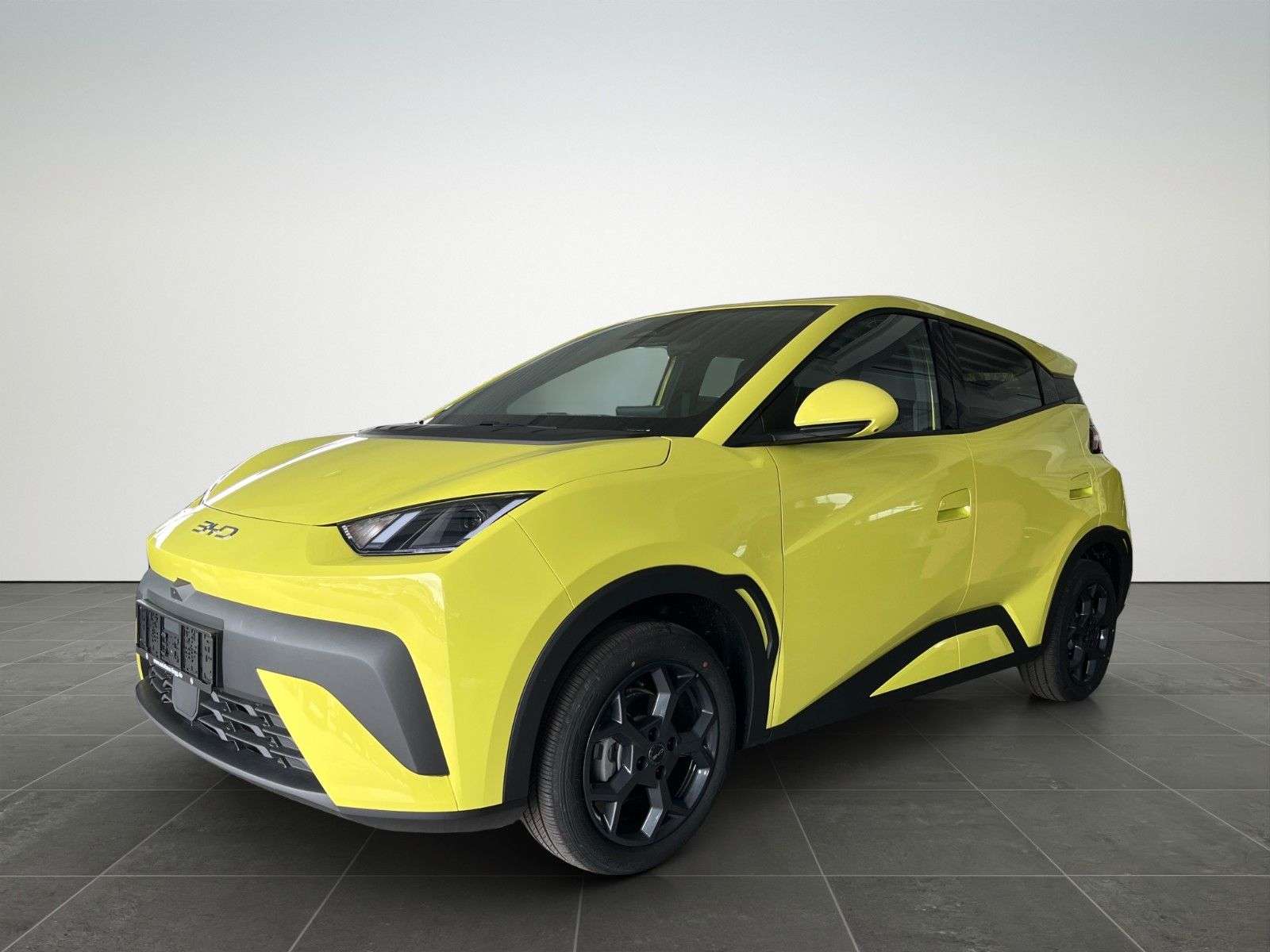 BYD Dolphin Surf