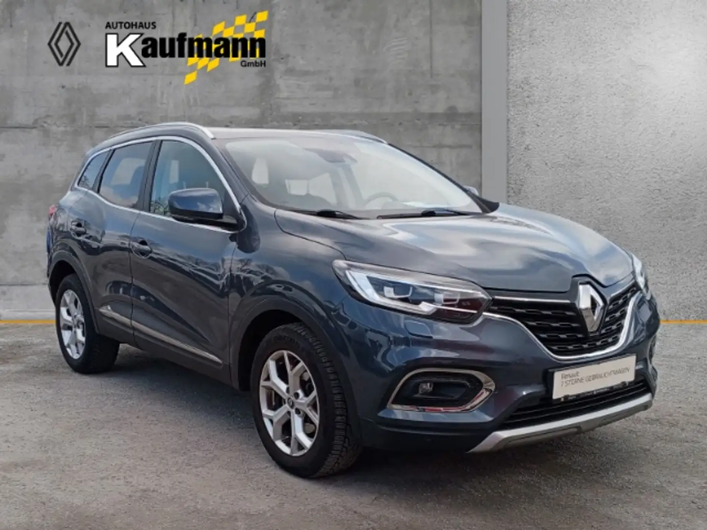 Renault Kadjar Limited 1.5 BLUE dCi 115 EU6d-T Сірий - 2