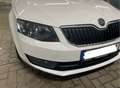 Skoda Octavia 1.4 TSI Navi Xenon AHK Klimaauto Sitzh Temp 19Zoll Blanc - thumbnail 11