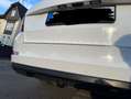 Skoda Octavia 1.4 TSI Navi Xenon AHK Klimaauto Sitzh Temp 19Zoll Blanc - thumbnail 8