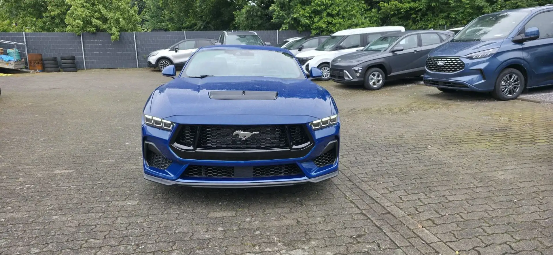 Ford Mustang 5.0  V8 GT Autom. New modell * Lager Blau - 2