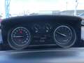 Lancia Ypsilon 3ª serie - Ypsilon 1.0 FireFly 5 porte S&S Hybrid Blu/Azzurro - thumbnail 12