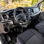 Ford Transit Custom FT 320 L1 Kombi Trend EcoBlue 105 Blanco - thumbnail 6