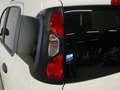 Fiat Panda 1.0 MHEV PANDINA 70 5P Weiß - thumbnail 14