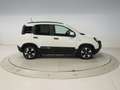 Fiat Panda 1.0 MHEV PANDINA 70 5P Weiß - thumbnail 6