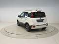 Fiat Panda 1.0 MHEV PANDINA 70 5P Weiß - thumbnail 3