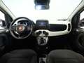 Fiat Panda 1.0 MHEV PANDINA 70 5P Weiß - thumbnail 25