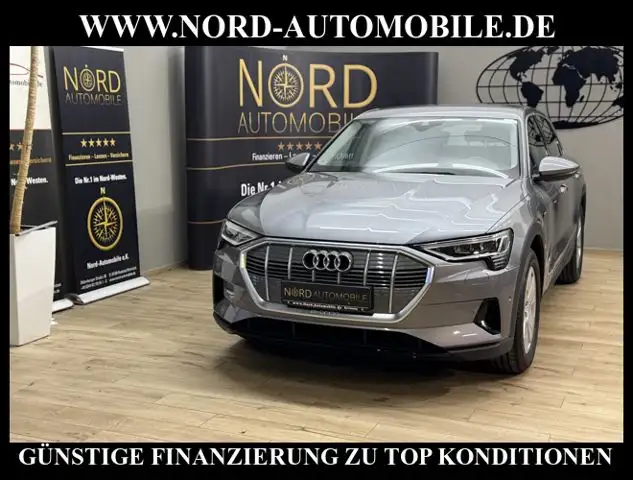 Audi e-tron 55 QU.Kamera/Navi/LED/Virt.Cockpit/