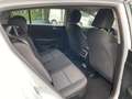 Kia Sportage 1.6 CRDI 136 CV DCT7 2WD Mild Hybrid Business Cla - thumbnail 10