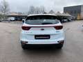 Kia Sportage 1.6 CRDI 136 CV DCT7 2WD Mild Hybrid Business Cla - thumbnail 6