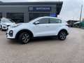 Kia Sportage 1.6 CRDI 136 CV DCT7 2WD Mild Hybrid Business Cla - thumbnail 5