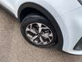 Kia Sportage 1.6 CRDI 136 CV DCT7 2WD Mild Hybrid Business Cla - thumbnail 3