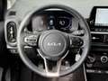 Kia Picanto 1.0 Vision Navi, Kamera, Klima Gris - thumbnail 12