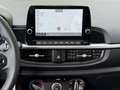 Kia Picanto 1.0 Vision Navi, Kamera, Klima Gris - thumbnail 9