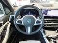 BMW X5 xDrive50e Grau - thumbnail 27