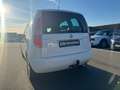 Skoda Roomster *FRESH*AHK*SITZH*PDC*KLIMAAUTO Bianco - thumbnail 6