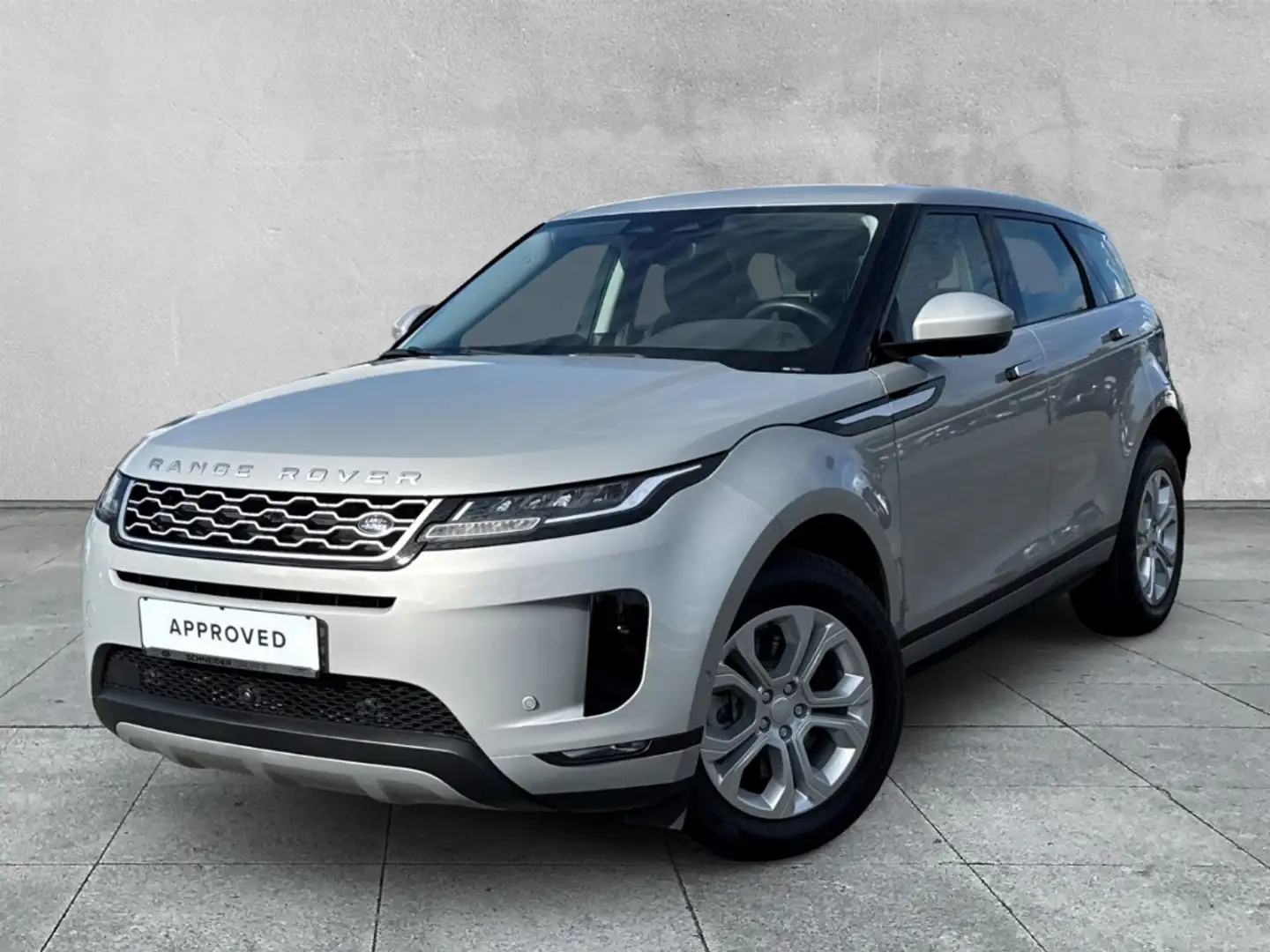 Land Rover 3D+DAB+Pivi Pro NAVI Silber - 1
