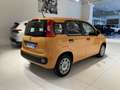 Fiat Panda 1.2 Easy Arancione - thumbnail 6