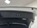 Audi A5 Sportback S-Line Carbon Head Up PANO Blanc - thumbnail 15