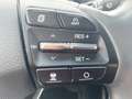 Hyundai IONIQ Style, Navi, LED, R.Kamera, ACC, Winter-p., Climat Wit - thumbnail 16