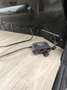Renault Trafic Trafic Kasten II Schwarz - thumbnail 12