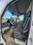 Mercedes-Benz Sprinter 310 CDI Pritsche Weiß - thumbnail 9
