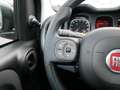 Fiat Panda HYBRID 1.0 GSE E6D TECH RADIO 5-SITZER Grau - thumbnail 19