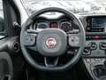 Fiat Panda HYBRID 1.0 GSE E6D TECH RADIO 5-SITZER Grau - thumbnail 18