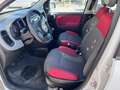 Fiat Panda Panda 0.9 t.air t. natural power Easy 80cv Blanc - thumbnail 3