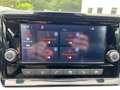 SEAT Ibiza Style 1.0 TGI CNG Erdgas PDC SHZ LED GRA MFL... Rot - thumbnail 9