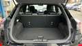 Ford Puma 1.0 EcoBoost MHEV ST-Line X Design 125 Negro - thumbnail 9