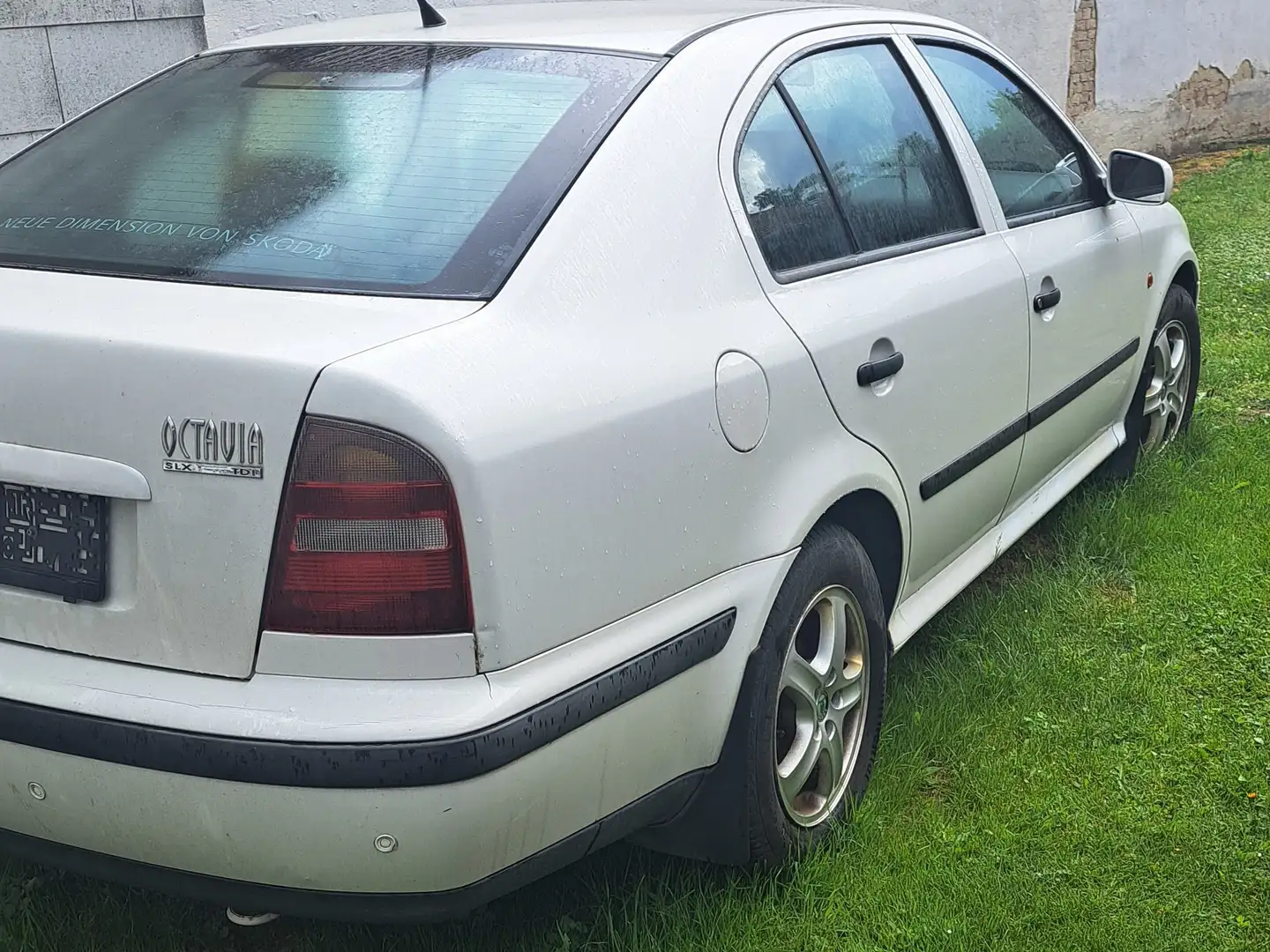 Skoda Octavia Octavia Combi 1,9 Laurin - 2