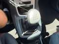 Ford Fiesta Fiesta 1.4 TDCI Trend Rojo - thumbnail 17