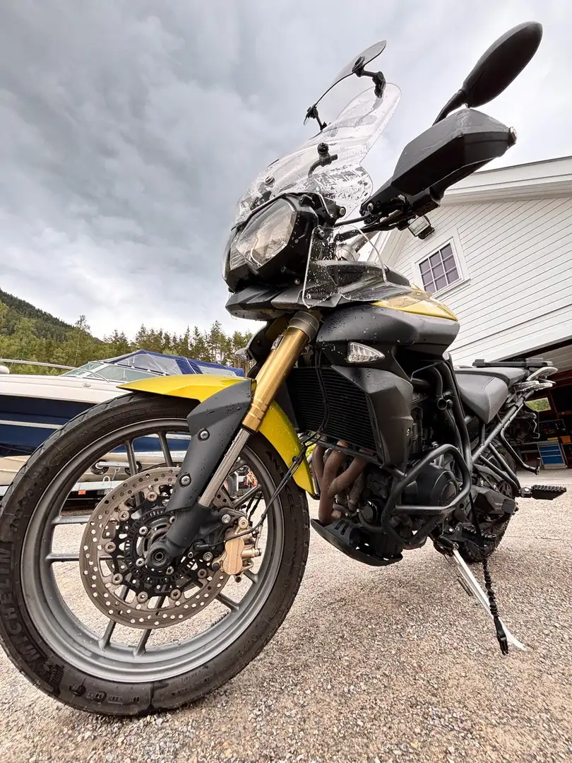 Triumph Tiger 800 Galben - 1