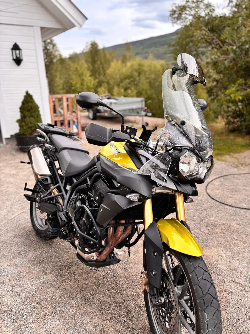 Triumph Tiger 800 Galben - 2