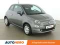 Fiat 500 1.0 Mild-Hybrid Grau - thumbnail 8