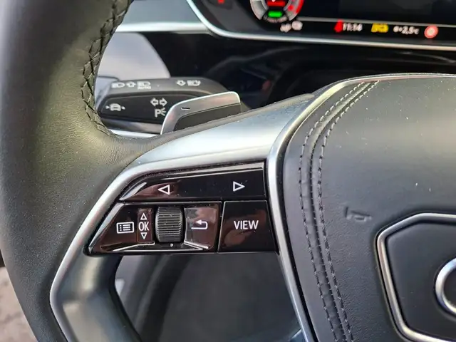 Audi A8 60 TFSI e quattro Lang * MATRIX Ansicht 32