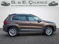 Volkswagen Tiguan Sport Braun - thumbnail 7