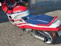 Honda CBR 1000 super sport Rosso - thumbnail 4