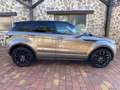 Land Rover Range Rover Evoque 2.2L SD4 Dynamic 4x4 190 Aut. Marrón - thumbnail 11