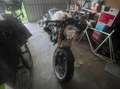 Ducati Monster 900 S Bianco - thumbnail 7