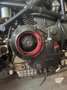 Ducati Monster 900 S Bianco - thumbnail 4