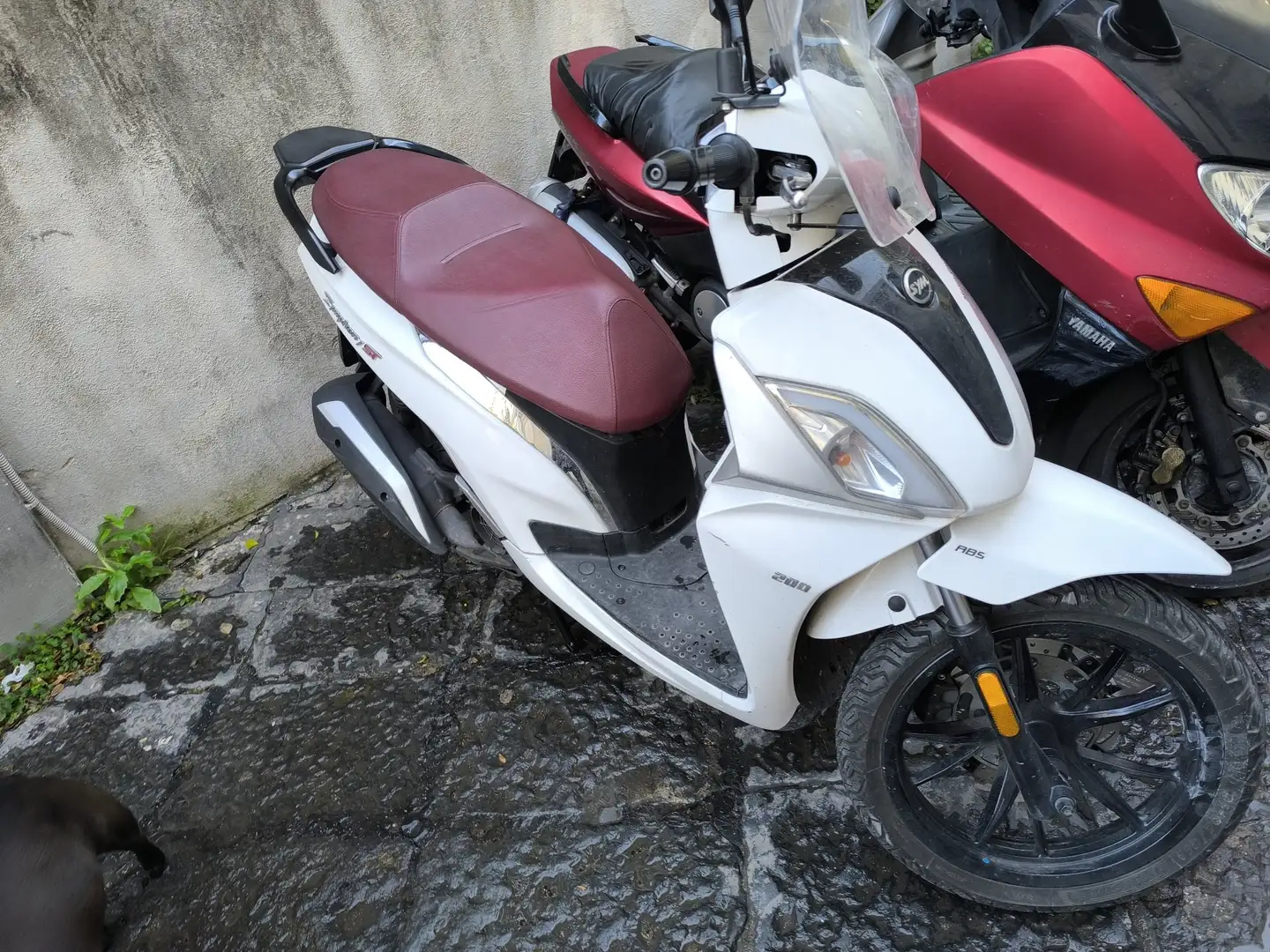 SYM Symphony 200 st abs Alb - 2