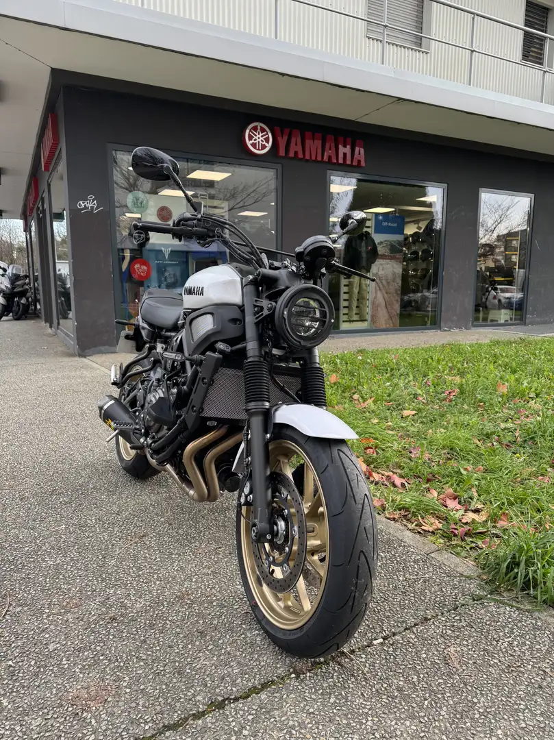 Yamaha XSR 700 - 1