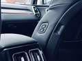 Kia Sorento 1.6 T Hybrid Platinum AWD GD  AHK Weiß - thumbnail 19