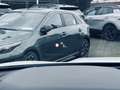 Kia Sorento 1.6 T Hybrid Platinum AWD GD  AHK Weiß - thumbnail 16