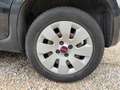 Fiat Panda 1.2 69cv Pop FlexFuel 2e maion Noir - thumbnail 14
