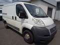 Fiat Ducato Kasten 28 115 Wit - thumbnail 2